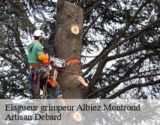 Elagueur grimpeur  albiez-montrond-73300 Artisan Debard