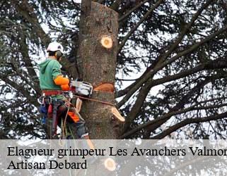 Elagueur grimpeur les-avanchers-valmorel-73260 Artisan Debard