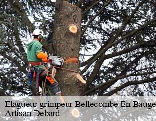 Elagueur grimpeur  bellecombe-en-bauges-73340 Artisan Debard