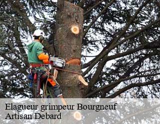 Elagueur grimpeur  bourgneuf-73390 Artisan Debard