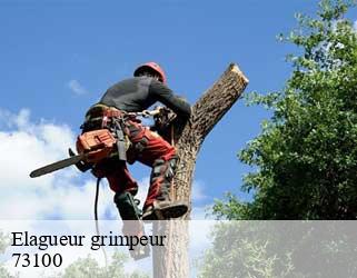 Elagueur grimpeur 73100