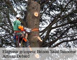 Elagueur grimpeur brison-saint-innocent-73100 Artisan Debard