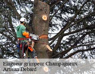 Elagueur grimpeur  champagneux-73240 Artisan Debard