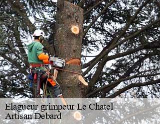 Elagueur grimpeur  le-chatel-73300 Artisan Debard