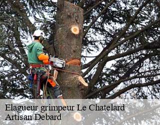 Elagueur grimpeur  le-chatelard-73630 Artisan Debard