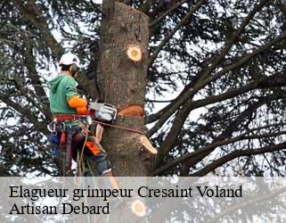 Elagueur grimpeur  cresaint-voland-73590 Artisan Debard