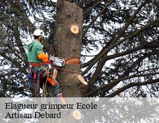 Elagueur grimpeur  ecole-73630 Artisan Debard