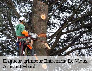 Elagueur grimpeur entremont-le-vieux-73670 Artisan Debard