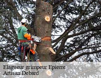 Elagueur grimpeur  epierre-73220 Artisan Debard