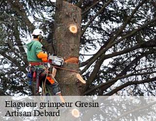 Elagueur grimpeur gresin-73240 Artisan Debard