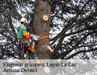 Elagueur grimpeur  lepin-le-lac-73610 Artisan Debard