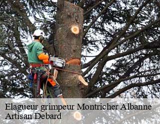 Elagueur grimpeur  montricher-albanne-73870 Artisan Debard