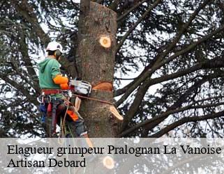 Elagueur grimpeur  pralognan-la-vanoise-73710 Artisan Debard