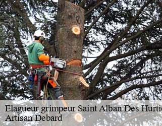 Elagueur grimpeur  saint-alban-des-hurtieres-73220 Artisan Debard