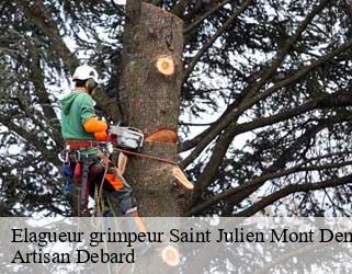 Elagueur grimpeur saint-julien-mont-denis-73870 Artisan Debard