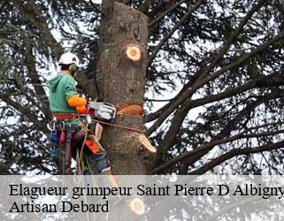 Elagueur grimpeur  saint-pierre-d-albigny-73250 Artisan Debard