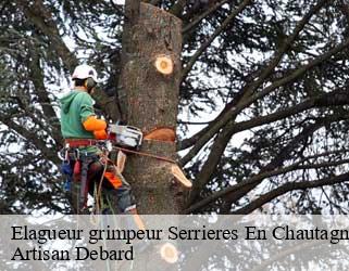 Elagueur grimpeur  serrieres-en-chautagne-73310 Artisan Debard