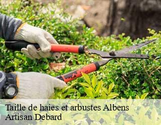 Taille de haies et arbustes  albens-73410 Artisan Debard