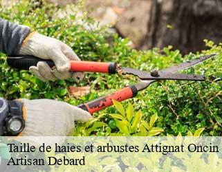 Taille de haies et arbustes attignat-oncin-73610 Artisan Debard