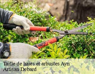 Taille de haies et arbustes ayn-73470 Artisan Debard
