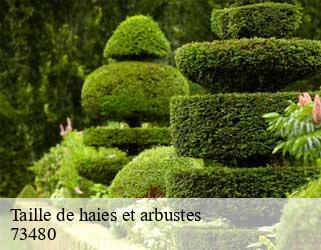 Taille de haies et arbustes  73480