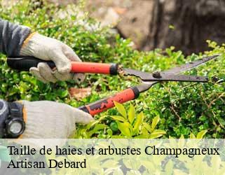 Taille de haies et arbustes  champagneux-73240 Artisan Debard