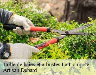 Taille de haies et arbustes  la-compote-73630 Artisan Debard