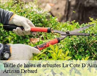 Taille de haies et arbustes la-cote-d-aime-73210 Artisan Debard