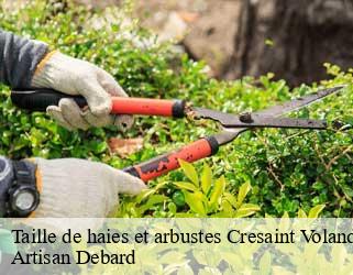 Taille de haies et arbustes  cresaint-voland-73590 Artisan Debard