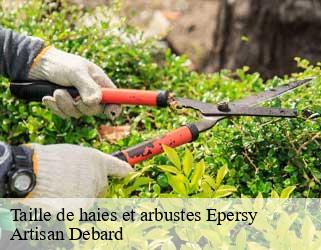 Taille de haies et arbustes epersy-73410 Artisan Debard