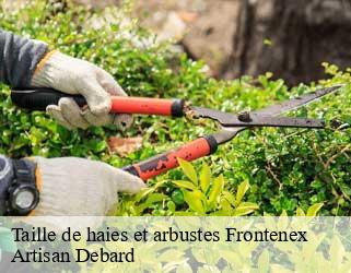 Taille de haies et arbustes frontenex-73460 Artisan Debard