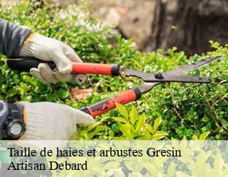 Taille de haies et arbustes gresin-73240 Artisan Debard