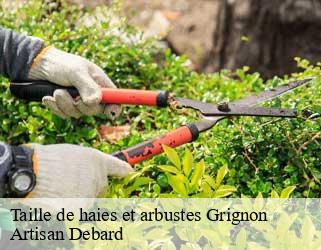 Taille de haies et arbustes  grignon-73200 Artisan Debard