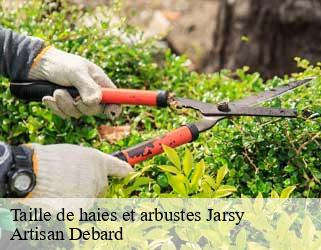 Taille de haies et arbustes  jarsy-73630 Artisan Debard