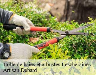 Taille de haies et arbustes  lescheraines-73340 Artisan Debard