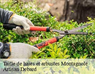 Taille de haies et arbustes montagnole-73000 Artisan Debard