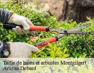 Taille de haies et arbustes  montgilgert-73220 Artisan Debard