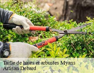 Taille de haies et arbustes  myans-73800 Artisan Debard
