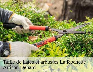 Taille de haies et arbustes la-rochette-73110 Artisan Debard