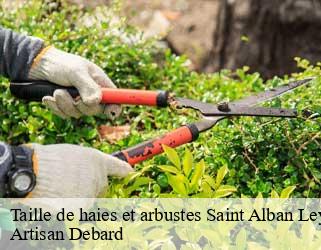 Taille de haies et arbustes  saint-alban-leysse-73230 Artisan Debard