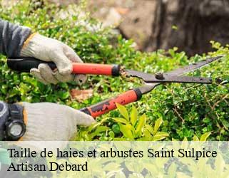 Taille de haies et arbustes saint-sulpice-73160 Artisan Debard