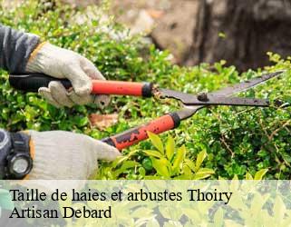 Taille de haies et arbustes  thoiry-73230 Artisan Debard