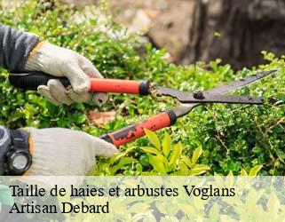 Taille de haies et arbustes voglans-73420 Artisan Debard