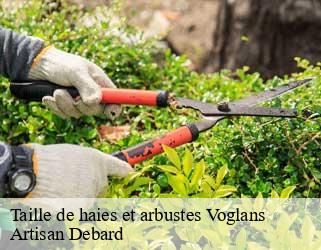 Taille de haies et arbustes  voglans-73420 Artisan Debard